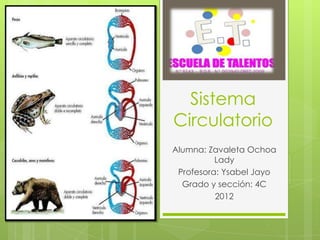 Sistema
Circulatorio
Alumna: Zavaleta Ochoa
          Lady
 Profesora: Ysabel Jayo
  Grado y sección: 4C
          2012
 