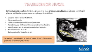La translucencia nucal es el máximo grosor de la zona anecogénica subcutánea ubicada entre la piel
y las partes blandas que recubren la espina cervical del feto:
 Longitud cráneo-caudal 45-84 mm.
 Plano sagital medio.
 Con el 75% de la pantalla ocupada por el feto.
 Posición neutral del feto (sin hiperextensión o hiperflexión).
 Identificación clara de amnios separado (no confundir).
 Máxima distancia de la TN.
 Calipers sobre las líneas (on-to-on)
Se realizan 3 mediciones y se toma la mayor de las 3. Se considera
positivo si el valor es > p95 para EG.
 