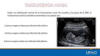 Existe una distribución normal de la translucencia nucal. De acuerdo a las guías de la FMF, la
translucencia nucal se considera aumentada si sus valores son:
2.3mm o mayor en fetos con LCN entre 45 y 55mm
2.5mm o mayor en fetos con LCN entre 56 y 67mm
2.8mm o mayor en fetos con LCN entre 68 y 84mm.
 
