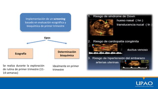 Implementación de un screening
basado en evaluación ecográfica y
bioquímica de primer trimestre
tipos
Ecografía
Determinación
bioquímica
Se realiza durante la exploración
de rutina de primer trimestre (11-
14 semanas)
Idealmente en primer
trimestre
 