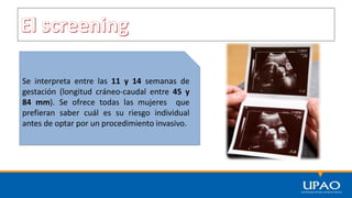 Se interpreta entre las 11 y 14 semanas de
gestación (longitud cráneo-caudal entre 45 y
84 mm). Se ofrece todas las mujeres que
prefieran saber cuál es su riesgo individual
antes de optar por un procedimiento invasivo.
 