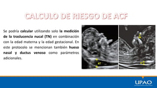 Se podría calcular utilizando solo la medición
de la traslucencia nucal (TN) en combinación
con la edad materna y la edad gestacional. En
este protocolo se mencionan también hueso
nasal y ductus venoso como parámetros
adicionales.
 