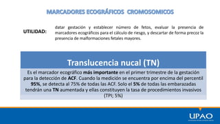 UTILIDAD:
datar gestación y establecer número de fetos, evaluar la presencia de
marcadores ecográficos para el cálculo de riesgo, y descartar de forma precoz la
presencia de malformaciones fetales mayores.
Translucencia nucal (TN)
Es el marcador ecográfico más importante en el primer trimestre de la gestación
para la detección de ACF. Cuando la medición se encuentra por encima del percentil
95%, se detecta al 75% de todas las ACF. Solo el 5% de todas las embarazadas
tendrán una TN aumentada y ellas constituyen la tasa de procedimientos invasivos
(TPI; 5%)
 