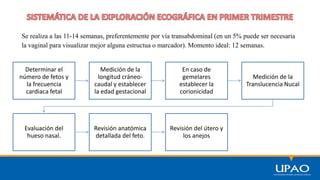 Se realiza a las 11-14 semanas, preferentemente por vía transabdominal (en un 5% puede ser necesaria
la vaginal para visualizar mejor alguna estructua o marcador). Momento ideal: 12 semanas.
Determinar el
número de fetos y
la frecuencia
cardiaca fetal
Medición de la
longitud cráneo-
caudal y establecer
la edad gestacional
En caso de
gemelares
establecer la
corionicidad
Medición de la
Translucencia Nucal
Evaluación del
hueso nasal.
Revisión anatómica
detallada del feto.
Revisión del útero y
los anejos
 
