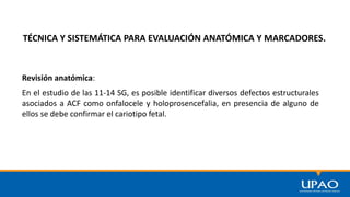 TÉCNICA Y SISTEMÁTICA PARA EVALUACIÓN ANATÓMICA Y MARCADORES.
Revisión anatómica:
En el estudio de las 11-14 SG, es posible identificar diversos defectos estructurales
asociados a ACF como onfalocele y holoprosencefalia, en presencia de alguno de
ellos se debe confirmar el cariotipo fetal.
 