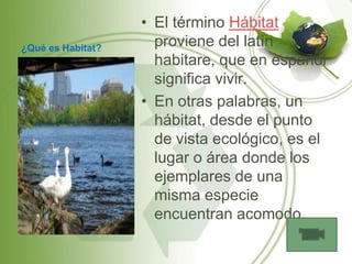 • El término Hábitat
¿Qué es Habitat?
                     proviene del latín
                     habitare, que en español
                     significa vivir.
                   • En otras palabras, un
                     hábitat, desde el punto
                     de vista ecológico, es el
                     lugar o área donde los
                     ejemplares de una
                     misma especie
                     encuentran acomodo.
 