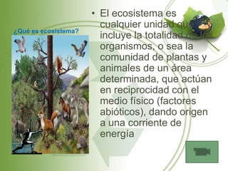 • El ecosistema es
                        cualquier unidad que
¿Qué es ecosistema?
                        incluye la totalidad de los
                        organismos, o sea la
                        comunidad de plantas y
                        animales de un área
                        determinada, que actúan
                        en reciprocidad con el
                        medio físico (factores
                        abióticos), dando origen
                        a una corriente de
                        energía
 