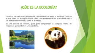 ¿QÙE ES LA ECOLOGÌA? 
Los seres vivos están en permanente contacto entre sí y con el ambiente físico en 
el que viven. La ecología analiza cómo cada elemento de un ecosistema afecta 
los demás componentes y cómo es afectado. 
Es una ciencia de síntesis, pues para comprender la compleja trama de 
relaciones que existen en un ecosistema. 
 
