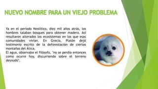 NUEVO NOMBRE PARA UN VIEJO PROBLEMA 
Ya en el período Neolítico, diez mil años atrás, los 
hombres talaban bosques para obtener madera. Así 
resultaron alterados los ecosistemas en los que esas 
comunidades vivían. En Grecia, Platón dejó 
testimonio escrito de la deforestación de ciertas 
montañas del Ática. 
El agua, observaba el filósofo, "no se perdía entonces 
como ocurre hoy, discurriendo sobre el terreno 
desnudo". 
 