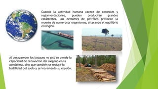 Cuando la actividad humana carece de controles y 
reglamentaciones, pueden producirse grandes 
catástrofes. Los derrames de petróleo provocan la 
muerte de numerosos organismos, alterando el equilibrio 
ecológico. 
Al desaparecer los bosques no sólo se pierde la 
capacidad de renovación del oxígeno en la 
atmósfera, sino que también se reduce la 
fertilidad del suelo y se incrementa su erosión. 
 