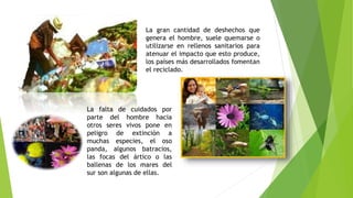 La gran cantidad de deshechos que 
genera el hombre, suele quemarse o 
utilizarse en rellenos sanitarios para 
atenuar el impacto que esto produce, 
los países más desarrollados fomentan 
el reciclado. 
La falta de cuidados por 
parte del hombre hacia 
otros seres vivos pone en 
peligro de extinción a 
muchas especies, el oso 
panda, algunos batracios, 
las focas del ártico o las 
ballenas de los mares del 
sur son algunas de ellas. 
