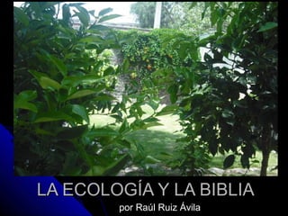 LA ECOLOGÍA Y LA BIBLIA
        por Raúl Ruiz Ávila
 