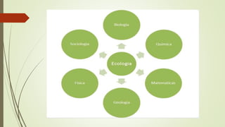 La ecología yohan fernández