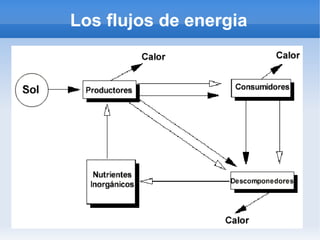 Los flujos de energia
 