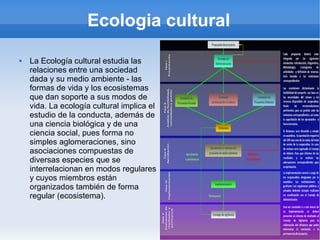 Ecologia cultural
 La Ecología cultural estudia las
relaciones entre una sociedad
dada y su medio ambiente - las
formas de vida y los ecosistemas
que dan soporte a sus modos de
vida. La ecología cultural implica el
estudio de la conducta, además de
una ciencia biológica y de una
ciencia social, pues forma no
simples aglomeraciones, sino
asociaciones compuestas de
diversas especies que se
interrelacionan en modos regulares
y cuyos miembros están
organizados también de forma
regular (ecosistema).
 