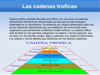 Las cadenas troficas
 Cadena trófica, también llamada red trófica, son una serie de cadenas
alimentarias íntimamente relacionadas por las que circulan energía y
materiales en un ecosistema. Se entiende por cadena alimentaria cada una
de las relaciones alimenticias que se establecen de forma lineal entre
organismos que pertenecen a distintos niveles tróficos. La cadena trófica
está dividida en dos grandes categorías: la cadena o red de pastoreo, que
se inicia con las plantas verdes, algas o plancton que realiza la fotosíntesis,
y la cadena o red de detritos que comienza con los detritos orgánicos.
 