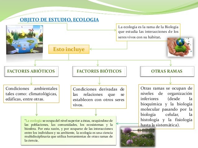 La ecología, educación ambiental, conciencia ambiental