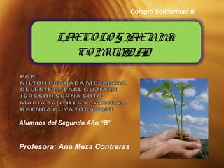 LAECOLOGIAENMI
COMUNIDAD
Colegio Solidaridad III
Profesora: Ana Meza Contreras
Alumnos del Segundo Año “B”
 