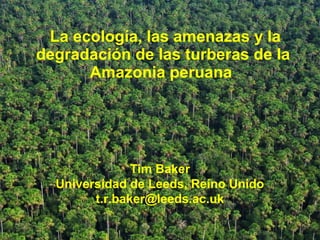 Tim Baker
Universidad de Leeds, Reino Unido
t.r.baker@leeds.ac.uk
La ecología, las amenazas y la
degradación de las turberas de la
Amazonia peruana
 