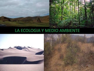 LA ECOLOGIA Y MEDIO AMBIENTE
 