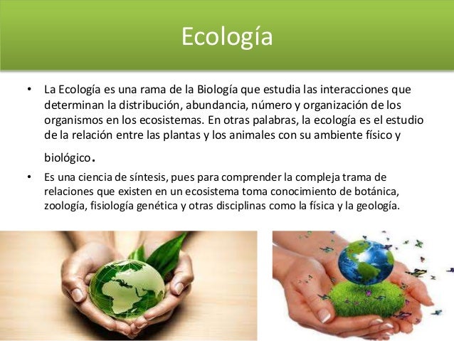 La Ecologia y Medio Ambiente