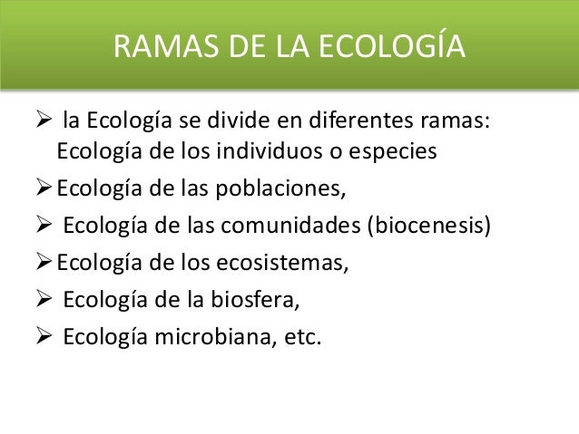 La Ecologia y Medio Ambiente