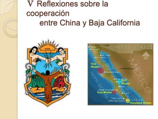 Ⅴ Reflexiones sobre la
cooperación
   entre China y Baja California
 