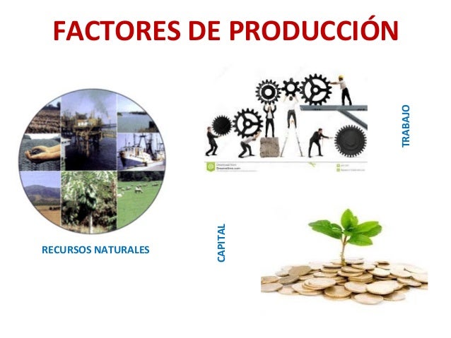 La economía eres tu