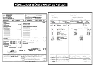 NÓMINAS DE UN PEÓN ORDINARIO Y UN PROFESOR
 