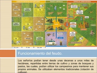 Los señoríos podían tener desde unas decenas a unos miles de
hectáreas, repartidas entre tierras de cultivo y zonas de bosques y
pastos, las cuales, podían utilizar los campesinos para mantener sus
propios animales. Se utilizaban elementos tradicionales (rotación de
cultivos).
Funcionamiento del feudo.
 