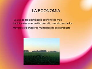 LA ECONOMIA

Es una de las actividades económicas más
tradicionales es el cultivo de café, siendo uno de los
mayores exportadores mundiales de este producto.
 