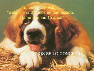 El perro contestó: “ Señor, vivir 25 años es demasiado. Dame apenas 15 años” DIOS SE LO CONCEDIO. 