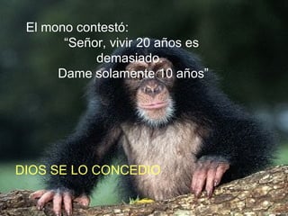 El mono contestó: “ Señor, vivir 20 años es demasiado. Dame solamente 10 años” DIOS SE LO CONCEDIO 