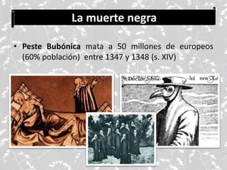 La muerte negra
• Peste Bubónica mata a 50 millones de europeos
(60% población) entre 1347 y 1348 (s. XIV)
 