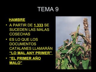 TEMA 9
  HAMBRE
• A PARTIR DE 1.333 SE
  SUCEDEN LAS MALAS
  COSECHAS
• ES LO QUE LOS
  DOCUMENTOS
  CATALANES LLAMARÁN
  “LO MAL ANY PRIMER”
• “EL PRIMER AÑO
  MALO”
 