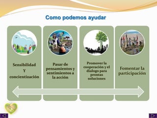 Como podemos ayudar
Sensibilidad
Y
concientización
Pasar de
pensamientos y
sentimientos a
la acción
Promover la
cooperación y el
dialogo para
prontas
soluciones
Fomentar la
participación
 