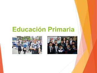 Educación Primaria
 