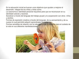 En la educación inicial se buscan unos objetivos que ayudan a mejorar el
desarrollo integral de los niños y niñas como:
La autonomía e identidad personal requisitos para que se reconozcan en su
identidad cultural y nacional.
Socializar a través del lenguaje del trabajo grupal y la cooperación con otros niños
y adultos.
Formas de expresión creativa a través del lenguaje, de su pensamiento y de su
cuerpo lo cual permitirá adquirir aprendizajes formales.
Formas sensibles de relación con la naturaleza que lo preparen para el cuidado de
la vida en sus diferente manifestaciones.
 