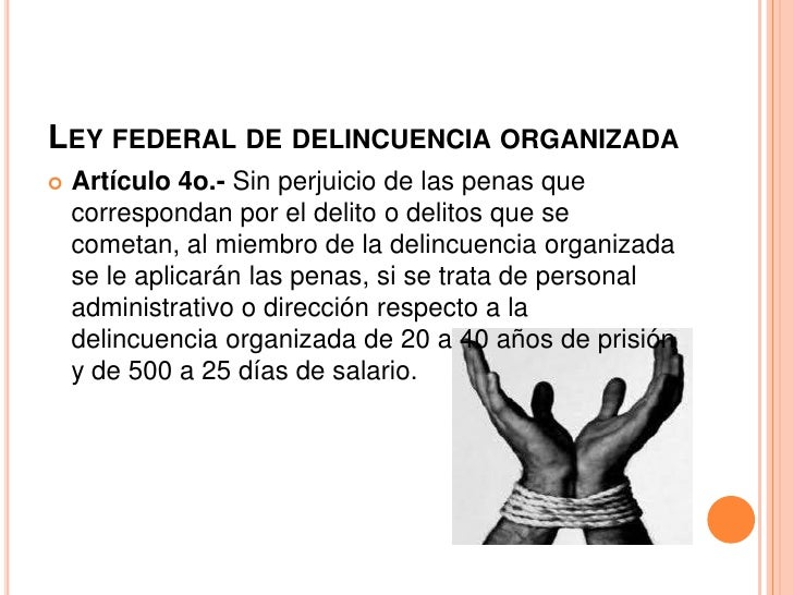 La eficacia de la ley contra la delincuencia presentacion