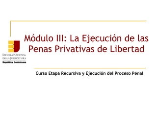 Módulo III: La Ejecución de las
Penas Privativas de Libertad
Curso Etapa Recursiva y Ejecución del Proceso Penal

 