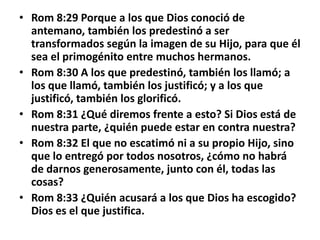 • Rom 8:29 Porque a los que Dios conoció de
antemano, también los predestinó a ser
transformados según la imagen de su Hijo, para que él
sea el primogénito entre muchos hermanos.
• Rom 8:30 A los que predestinó, también los llamó; a
los que llamó, también los justificó; y a los que
justificó, también los glorificó.
• Rom 8:31 ¿Qué diremos frente a esto? Si Dios está de
nuestra parte, ¿quién puede estar en contra nuestra?
• Rom 8:32 El que no escatimó ni a su propio Hijo, sino
que lo entregó por todos nosotros, ¿cómo no habrá
de darnos generosamente, junto con él, todas las
cosas?
• Rom 8:33 ¿Quién acusará a los que Dios ha escogido?
Dios es el que justifica.
 