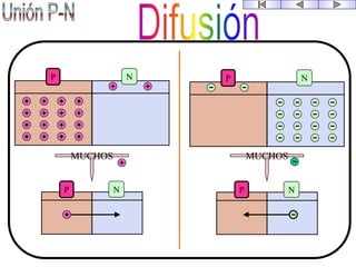 MUCHOS
P N P N
MUCHOS
P NP N
 