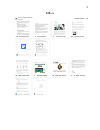 42
Evidencia
 
