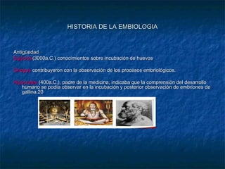HISTORIA DE LA EMBIOLOGIA


Antigüedad
Egipcios(3000a.C.) conocimientos sobre incubación de huevos

Griegos contribuyeron con la observación de los procesos embriológicos.

Hipócrates (400a.C.), padre de la medicina, indicaba que la comprensión del desarrollo
   humano se podía observar en la incubación y posterior observación de embriones de
   gallina.20
 