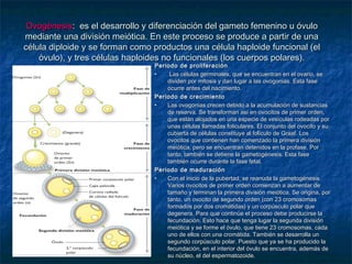 Ovogénesis: es el desarrollo y diferenciación del gameto femenino u óvulo
mediante una división meiótica. En este proceso se produce a partir de una
célula diploide y se forman como productos una célula haploide funcional (el
    óvulo), y tres células haploides no funcionales (los cuerpos polares).
                                 Periodo de proliferación .
                                 •    Las células germinales, que se encuentran en el ovario, se
                                     dividen por mitosis y dan lugar a las ovogonias. Esta fase
                                     ocurre antes del nacimiento.
                                 Periodo de crecimiento
                                 •   Las ovogonias crecen debido a la acumulación de sustancias
                                     de reserva. Se transforman así en ovocitos de primer orden,
                                     que están alojados en una especie de vesículas rodeadas por
                                     unas células llamadas foliculares. El conjunto del ovocito y su
                                     cubierta de células constituye al folículo de Graaf. Los
                                     ovocitos que contienen han comenzado la primera división
                                     meiótica, pero se encuentran detenidos en la profase. Por
                                     tanto, también se detiene la gametogénesis. Esta fase
                                     también ocurre durante la fase fetal.
                                 Periodo de maduración
                                 •   Con el inicio de la pubertad, se reanuda la gametogénesis.
                                     Varios ovocitos de primer orden comienzan a aumentar de
                                     tamaño y terminan la primera división meiótica. Se origina, por
                                     tanto, un ovocito de segundo orden (con 23 cromosomas
                                     formados por dos cromátidas) y un corpúsculo polar que
                                     degenera. Para que continúe el proceso debe producirse la
                                     fecundación. Esto hace que tenga lugar la segunda división
                                     meiótica y se forme el óvulo, que tiene 23 cromosomas, cada
                                     uno de ellos con una cromátida. También se desarrolla un
                                     segundo corpúsculo polar. Puesto que ya se ha producido la
                                     fecundación, en el interior del óvulo se encuentra, además de
                                     su núcleo, el del espermatozoide.
 