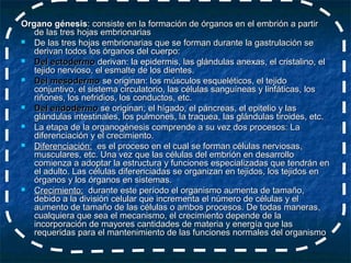 Organo génesis: consiste en la formación de órganos en el embrión a partir
   de las tres hojas embrionarias
  De las tres hojas embrionarias que se forman durante la gastrulación se
   derivan todos los órganos del cuerpo:
  Del ectodermo derivan: la epidermis, las glándulas anexas, el cristalino, el
   tejido nervioso, el esmalte de los dientes.
  Del mesodermo se originan: los músculos esqueléticos, el tejido
   conjuntivo, el sistema circulatorio, las células sanguíneas y linfáticas, los
   riñones, los nefridios, los conductos, etc.
  Del endodermo se originan; el hígado, el páncreas, el epitelio y las
   glándulas intestinales, los pulmones, la traquea, las glándulas tiroides, etc.
  La etapa de la organogénesis comprende a su vez dos procesos: La
   diferenciación y el crecimiento.
  Diferenciación: es el proceso en el cual se forman células nerviosas,
   musculares, etc. Una vez que las células del embrión en desarrollo
   comienza a adoptar la estructura y funciones especializadas que tendrán en
   el adulto. Las células diferenciadas se organizan en tejidos, los tejidos en
   órganos y los órganos en sistemas.
  Crecimiento: durante este período el organismo aumenta de tamaño,
   debido a la división celular que incrementa el número de células y el
   aumento de tamaño de las células o ambos procesos. De todas maneras,
   cualquiera que sea el mecanismo, el crecimiento depende de la
   incorporación de mayores cantidades de materia y energía que las
   requeridas para el mantenimiento de las funciones normales del organismo
 