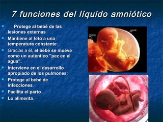 7 funciones del líquido amniótico
      Protege al bebé de las
    lesiones externas
   Mantiene al feto a una
    temperatura constante:
   Gracias a él, el bebé se mueve
    como un auténtico "pez en el
    agua".
   Interviene en el desarrollo
    apropiado de los pulmones:
   Protege al bebé de
    infecciones.
   Facilita el parto .
   Lo alimenta.
 