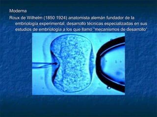Moderna
Roux de Wilhelm (1850 1924) anatomista alemán fundador de la
  embriología experimental, desarrollo técnicas especializadas en sus
  estudios de embriología a los que llamo “mecanismos de desarrollo”
 