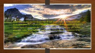 • El estudio de esta comienza a partir de que se produce la fertilización del
óvulo por parte del espermatozoide, dando lugar a la formación del huevo o
cigoto, hasta el momento del nacimiento del ser vivo. Una vez que se han
generado todas las principales estructuras y los órganos, al embrión se lo
pasará a denominar feto.
 
