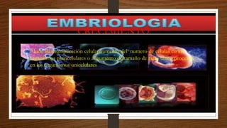 CRECIMIENTO
• Alude ala multiplicación celular aumento del numero de células en los
organismos pluricelulares o al aumento de tamaño de estas único procesos
en los organismos unicelulares